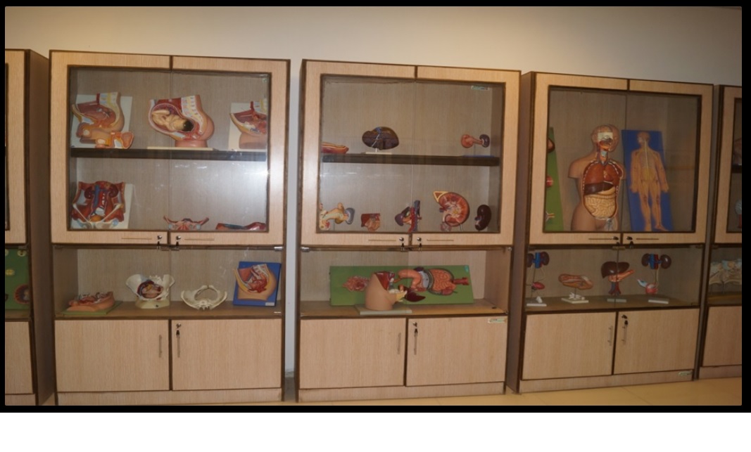 Bachelor’s Degrees Academic